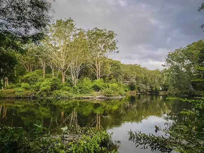 Lane-Cove-Spotlight-Tour_9.webp