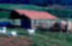 Emolon Madeiras
