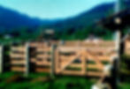 Emolon Madeiras
