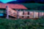 Emolon Madeiras
