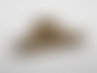 How Can You Make a Difference?