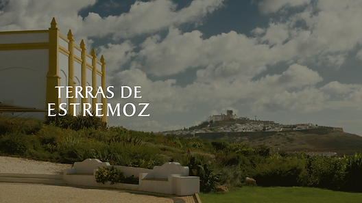Terras de Estremoz Colheita Branco | Terras de Estremoz | Encostas de Estremoz | Ségur Estates | Vinhos do Alentejo | Vinhos de Cascais | Vinhos de Portugal | Vinhos | Wines | Vinho Branco | White Wine