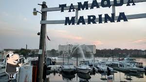 Brooklyn- REWI Network & Chill