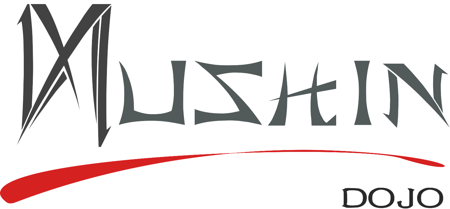 Mushin Dojo, Artes Marciales, San Juan del Rio, Queretaro, Judo, Ninjutsu, Jiujitsu