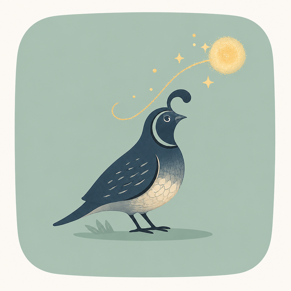 Quail.png