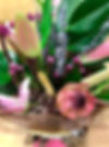 IMG_3693.jpeg