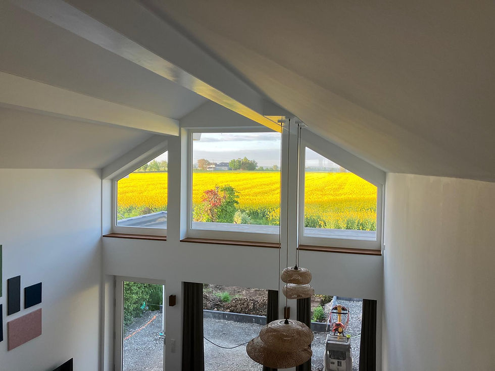 Blick auf das blühende Rapsfeld