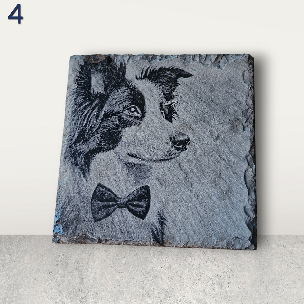 Thumbnail: Border Collie Slate Coaster Collection 2 - Individual
