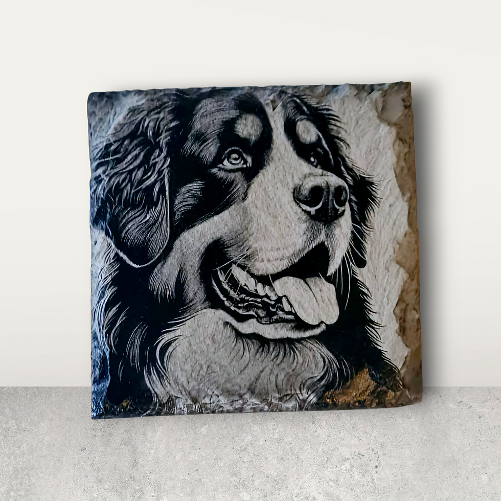 Bernese Mountain Dog Collection of Slate Coaster - Individual