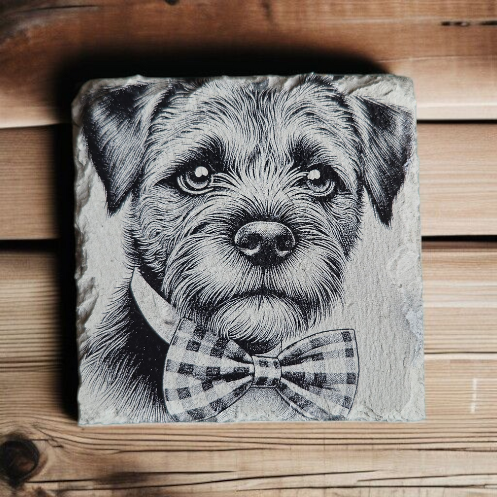 Thumbnail: Border Terrier Collection of Slate Coasters - Set of 4