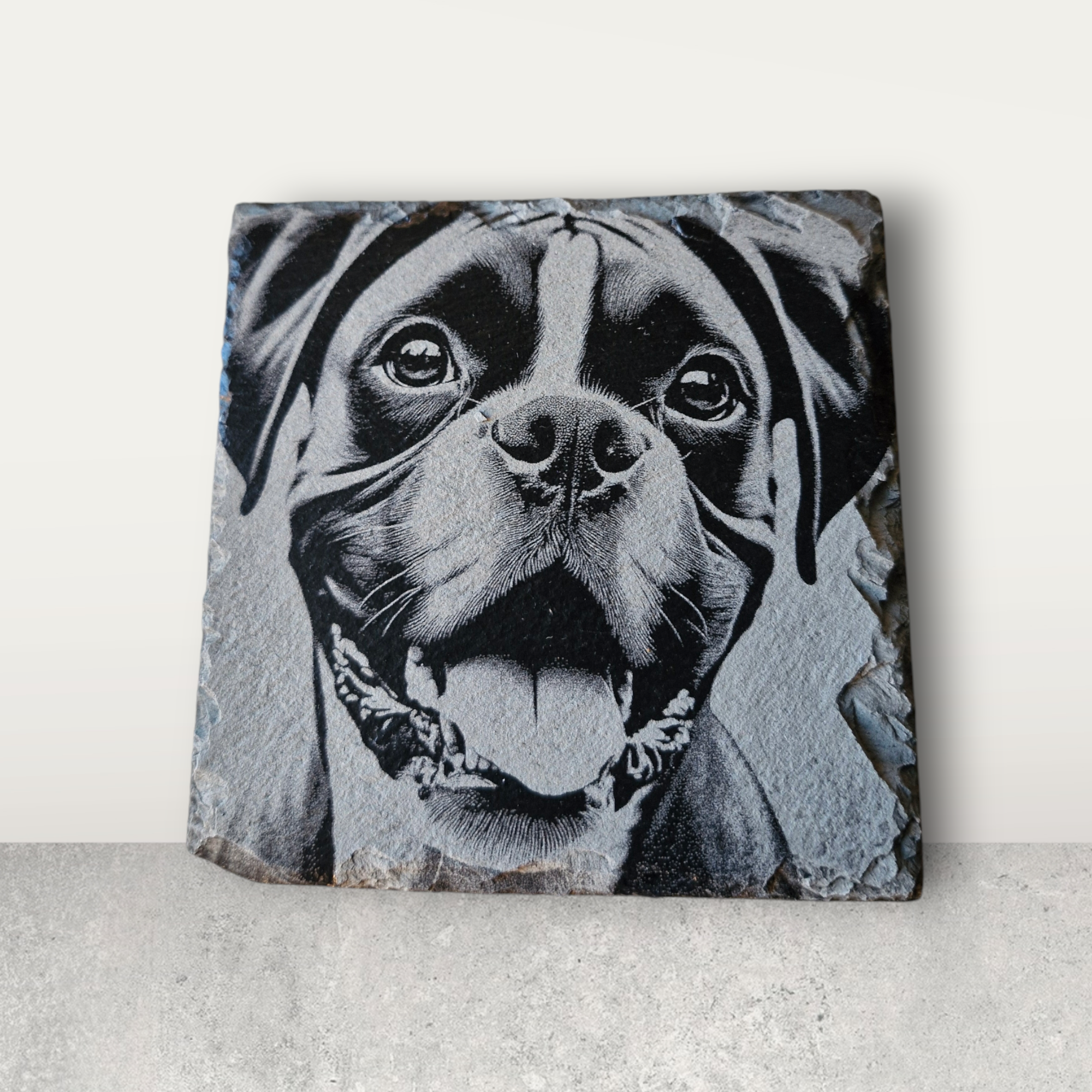 Boxer Collection of Slate Coasters - Individual