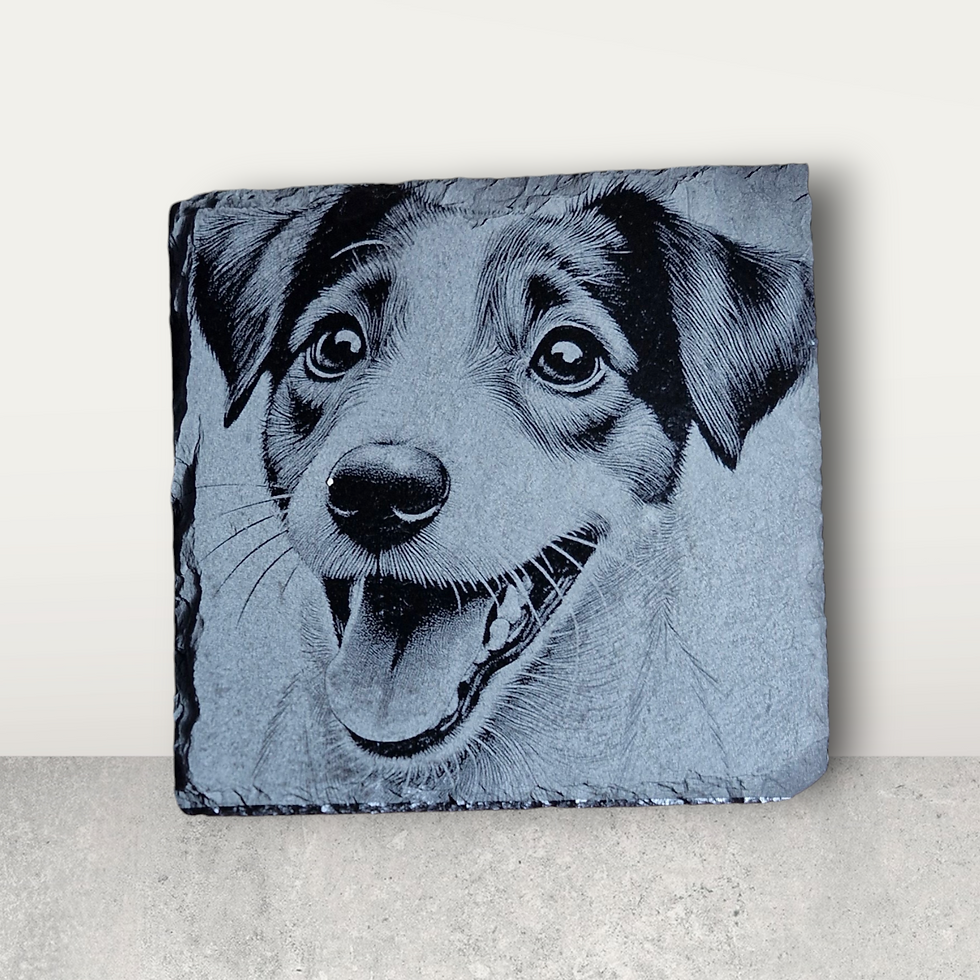 Thumbnail: Jack Russell Collection of Slate Coasters - Set of 4