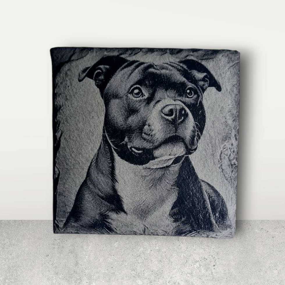 Thumbnail: Staffordshire Bull Terrier Collection of Slate Coasters - Set of 4