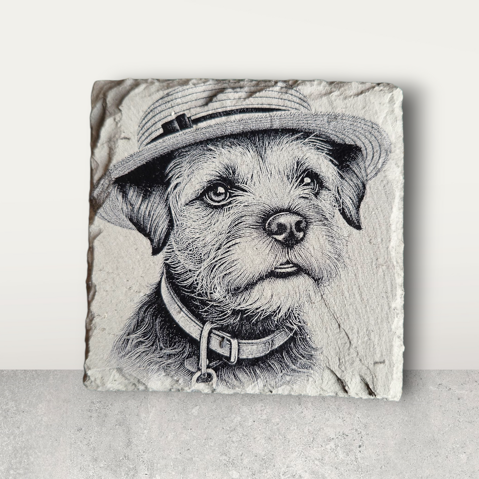 Thumbnail: Border Terrier Collection of Slate Coasters - Set of 4