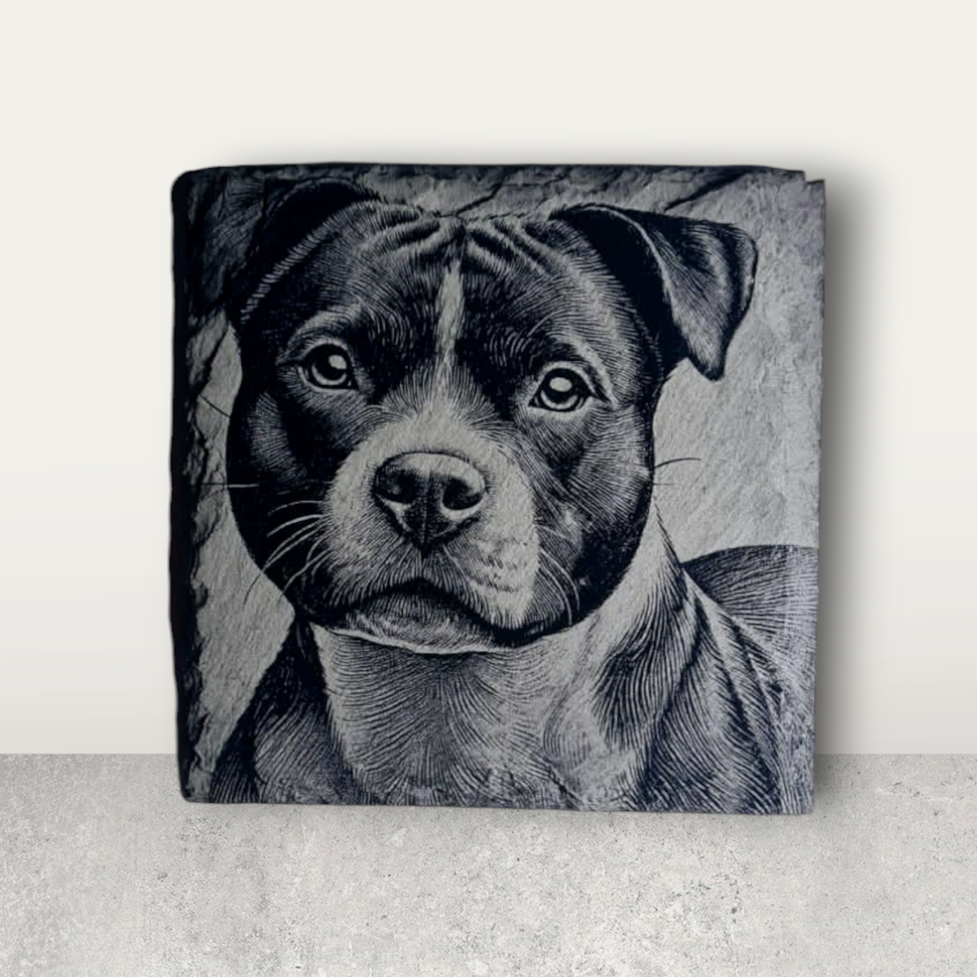 Staffordshire Bull Terrier Collection of Slate Coasters - Individual