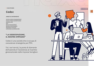 Naxa slide cedec grafica.jpg