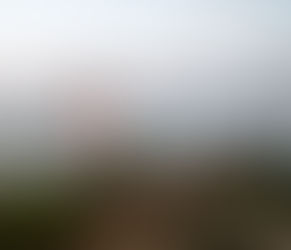 🌊 3 Simple Ways to Avoid Duplicate Invoices