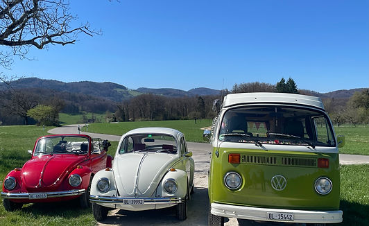 alle VW-Oldtimer Bulli und Käfer 1.jpg