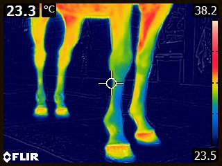 FLIR0092_edited