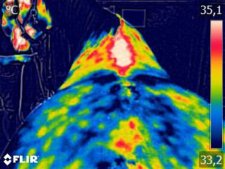 FLIR0166 (1)