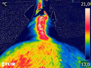 FLIR0698