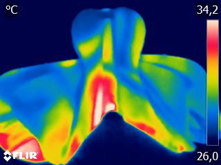 FLIR0344