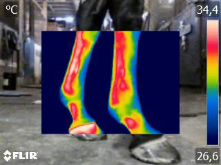 FLIR0056 (1)