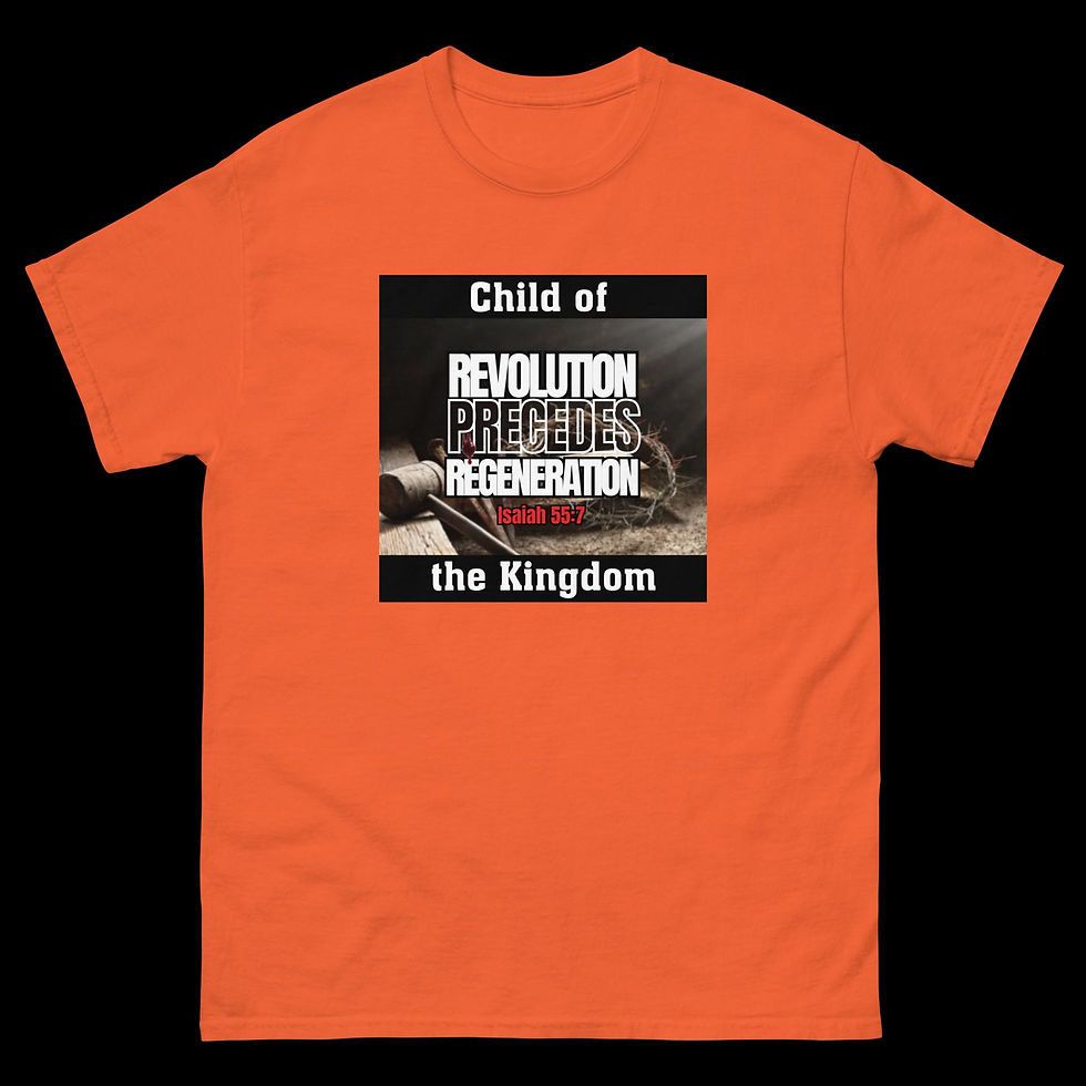 Thumbnail: Revolution Precedes