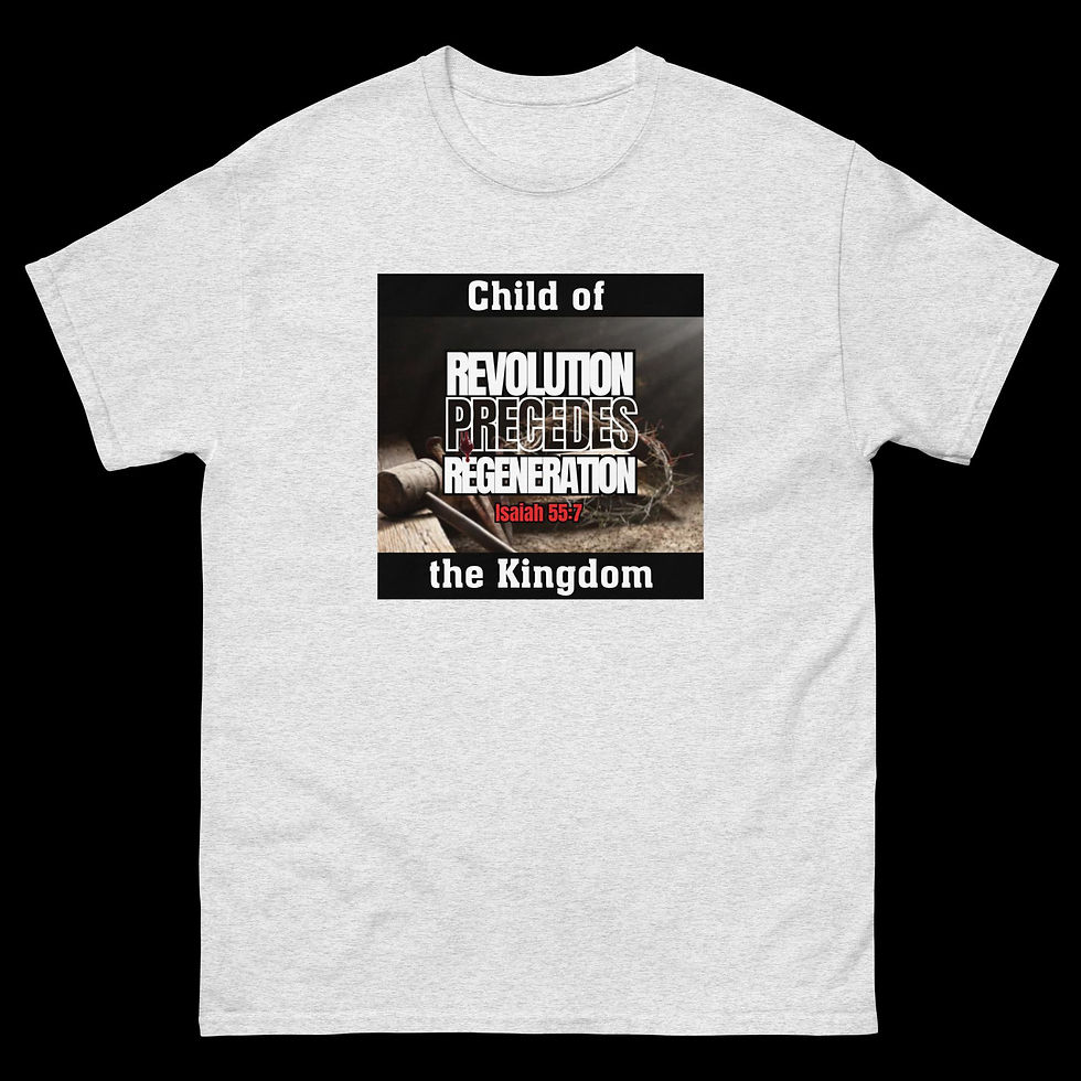 Thumbnail: Revolution Precedes