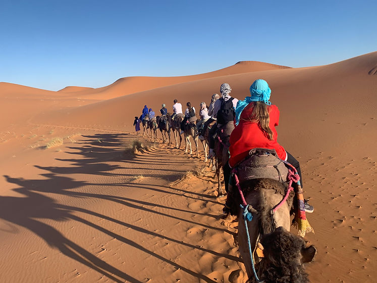 sahara.jpeg