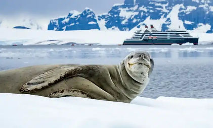 seabourn_edited.jpg