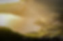 DSC_0093-Edit.JPG