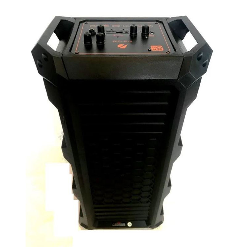 KTS 1233 ALTAVOCES DOBLES DE 8 PULGADAS CON MICRIFONO Y CABLE