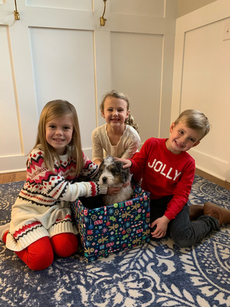 Drake - A Christmas Surprise!