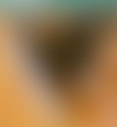 Heidi is loving Texas!