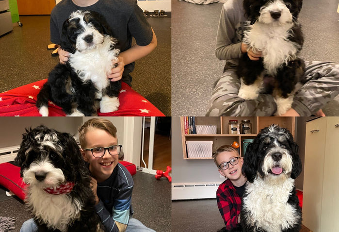 Odie a great companion & absolute joy!