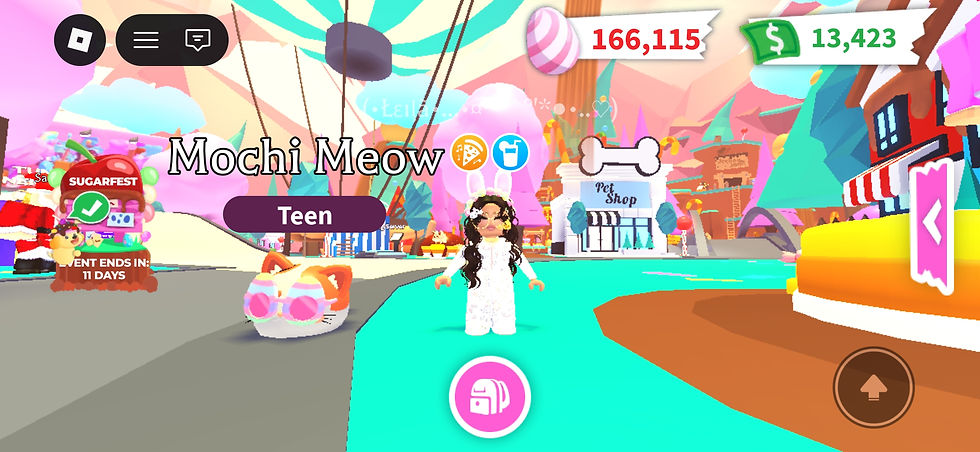 I got 4 Mochi Meows! 💓 they are so cute!