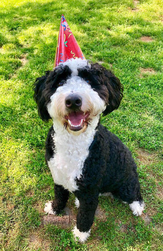 Happy Birthday, Shadow!