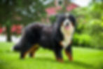Abby