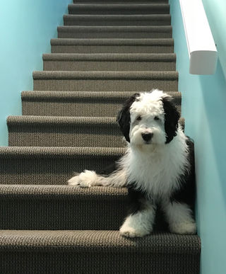 Moo @ 6 months!