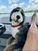 Murphy, 2 years old, loves swimming, car rides, and fishing!  