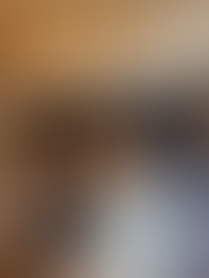 Zorro, now Benny, with his forever family in Wisconsin! 