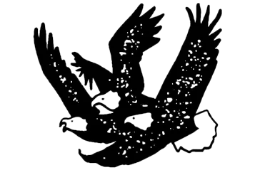3EaglesConcrete logo