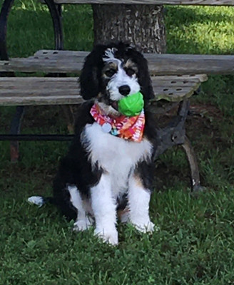 Miss Murffee Mae, A Real Country Girl