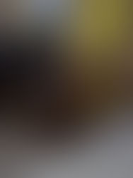 Millie, now Stormi, plays tug of war with big brother Ollie!  