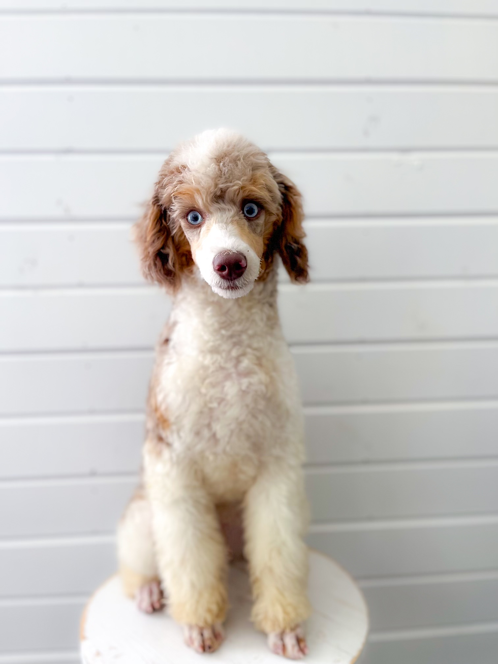 Finley_2281_jpg