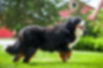 Abby