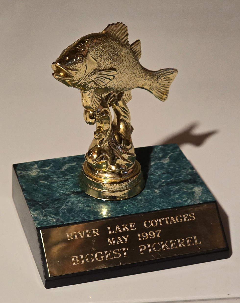 Biggest Pickeral