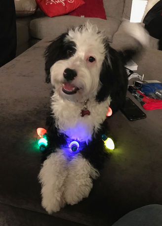 Lyvi (Sissy) "best gift to the family this year☃️☃️"