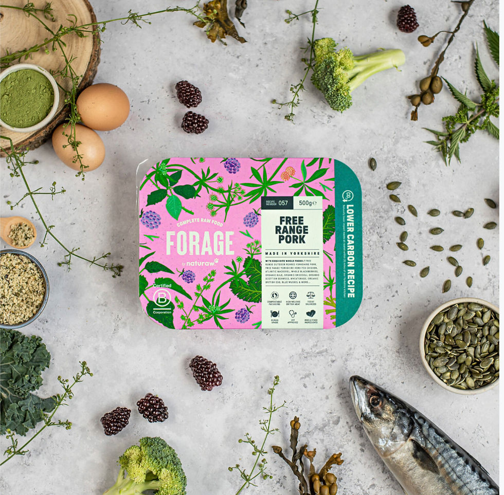 Thumbnail: Naturaw Forage Raw Food